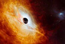 Monster black hole devouring one sun every day