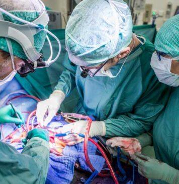 New heart treatment helps the body grow a replacement valve