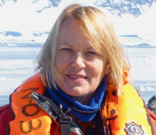 To the Arctic and Beyond