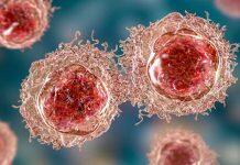 New funding to investigate causes of high blood pressure and heart disease