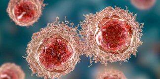 New funding to investigate causes of high blood pressure and heart disease