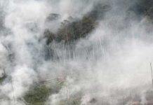 Ghost roads in South-East Asia speed nature’s destruction