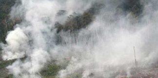 Ghost roads in South-East Asia speed nature’s destruction