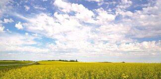 Greater fuel resilience needed – study