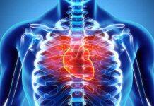 NICE urged to update dental antibiotic guidelines to protect high-risk heart patients