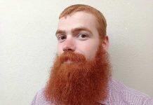 Otago researchers identify fossil dolphin