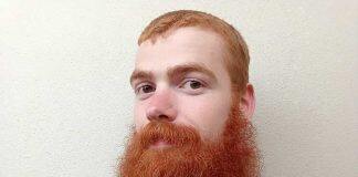 Otago researchers identify fossil dolphin