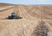 Food security in developed countries shows resilience to climate change