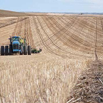 Food security in developed countries shows resilience to climate change