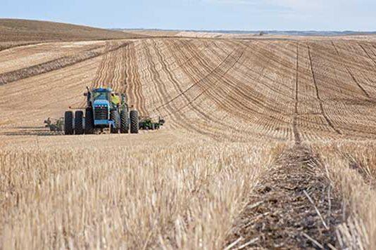 Food security in developed countries shows resilience to climate change