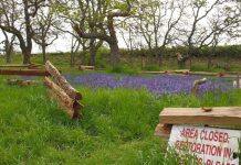 Restoring biodiversity in Canada