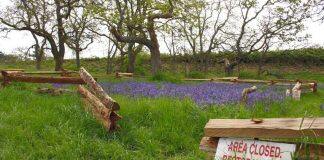 Restoring biodiversity in Canada