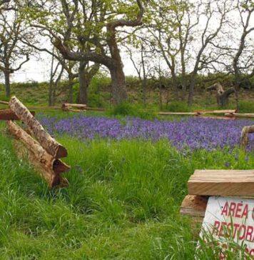 Restoring biodiversity in Canada