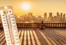 Looking to 2024: Climate change – dire warnings, but also renewed hope for progress, collaboration and innovation