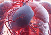 New device to stop blood pressure highs and lows catching you unawares