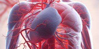 New device to stop blood pressure highs and lows catching you unawares