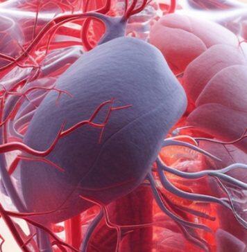 New device to stop blood pressure highs and lows catching you unawares