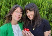 How psilocybin potentially works to reverse the cognitive rigidity that is the hallmark of anorexia