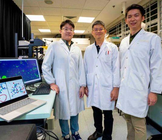 Scientists develop versatile drug delivery system inspired by self-assembling proteins from caterpillars