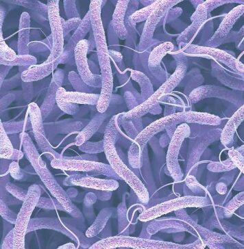 Study underscores new strategies to fight drug-resistant bacteria