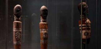 UQ Anthropology museum unveils long-lost Indigenous sculptures