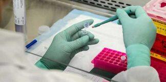 New stromal cell treatment for chronic inflammatory diseases being trialled