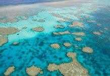 Drones offer new perspective on vulnerable tide-exposed coral reefs