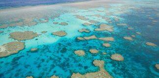 Drones offer new perspective on vulnerable tide-exposed coral reefs