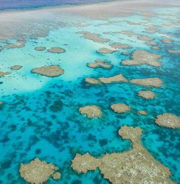 Drones offer new perspective on vulnerable tide-exposed coral reefs