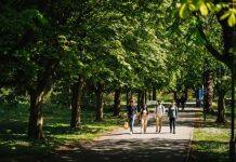 The University of Warwick in top 1% for THE rankings sustainability category