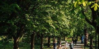 The University of Warwick in top 1% for THE rankings sustainability category