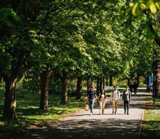 The University of Warwick in top 1% for THE rankings sustainability category
