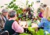 Gardening linked to staying sharp in later life, study finds