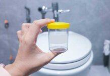 Australian researchers secure $1.8 million grant to pioneer mRNA vaccine against UTIs