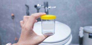 Australian researchers secure $1.8 million grant to pioneer mRNA vaccine against UTIs