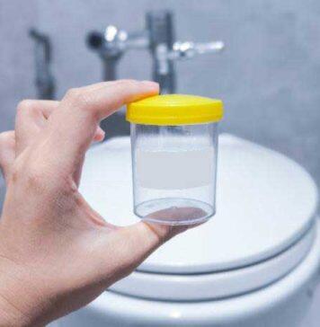 Australian researchers secure $1.8 million grant to pioneer mRNA vaccine against UTIs