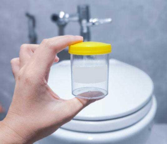 Australian researchers secure $1.8 million grant to pioneer mRNA vaccine against UTIs