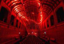 University shines bright for Illuminate Adelaide