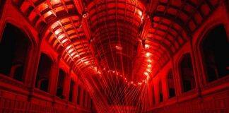 University shines bright for Illuminate Adelaide