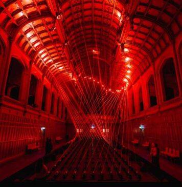 University shines bright for Illuminate Adelaide