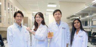 NUS and A*STAR researchers develop wearable, stretchable sensor for quick, continuous, and non-invasive detection of solid-state skin biomarkers