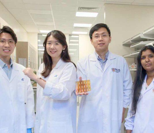 NUS and A*STAR researchers develop wearable, stretchable sensor for quick, continuous, and non-invasive detection of solid-state skin biomarkers