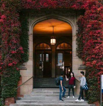 University of Sheffield academics given highest honour by British Academy