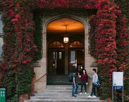 University of Sheffield academics given highest honour by British Academy