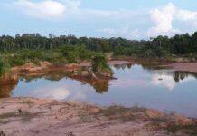 Thousands of birds and fish threatened by mining for minerals