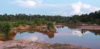 Thousands of birds and fish threatened by mining for minerals