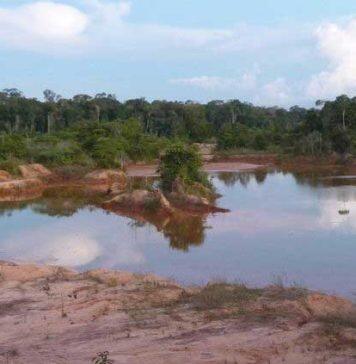 Thousands of birds and fish threatened by mining for minerals