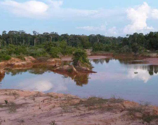 Thousands of birds and fish threatened by mining for minerals