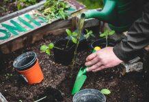 Integrating sustainability initiatives into K-12 classrooms