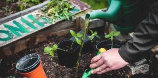 Integrating sustainability initiatives into K-12 classrooms